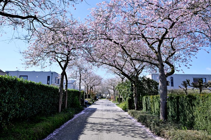 Foto 71 van Tijinkweg 7