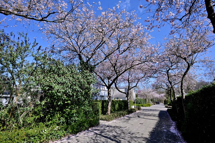 Foto 72 van Tijinkweg 7