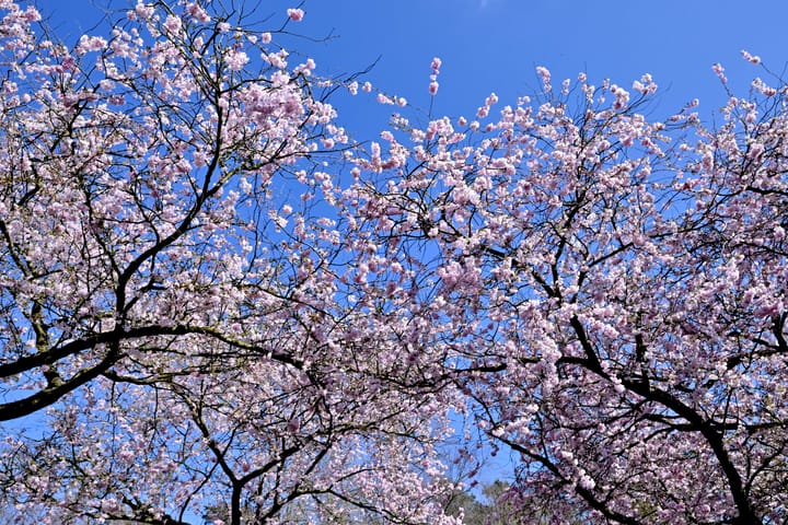 Foto 74 van Tijinkweg 7