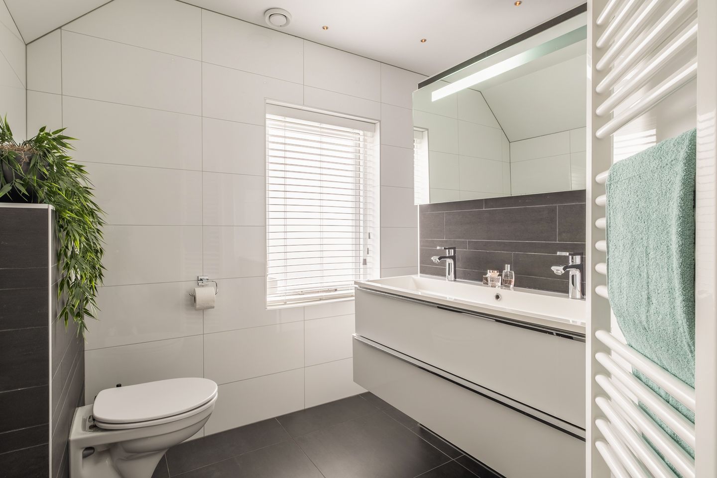 Foto 19 van Allemansweg 10