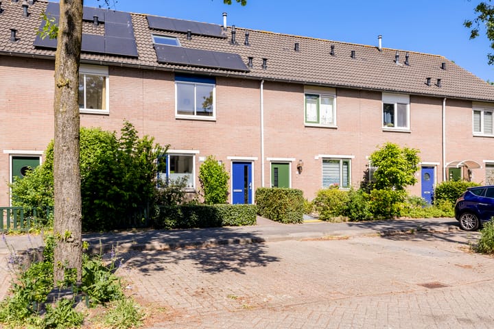 Foto 1 van Galápagos 7