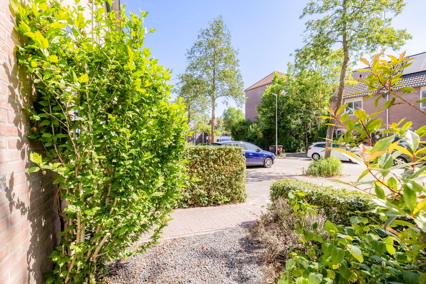 Foto 5 van Galápagos 7