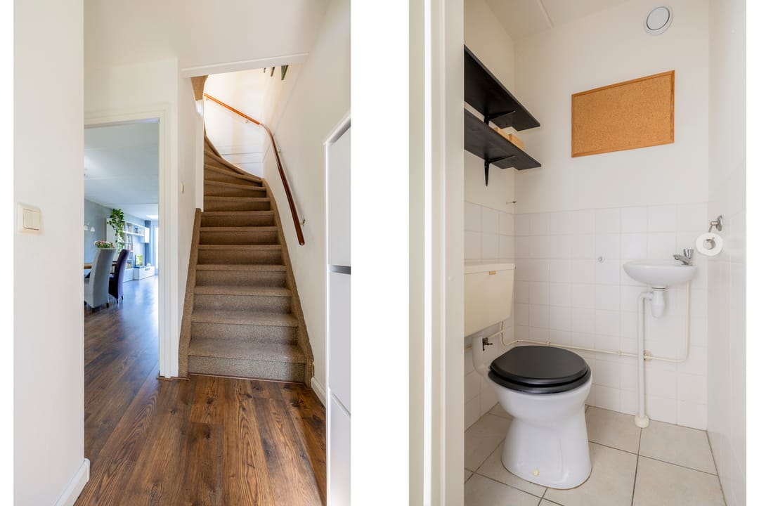 Foto 7 van Galápagos 7