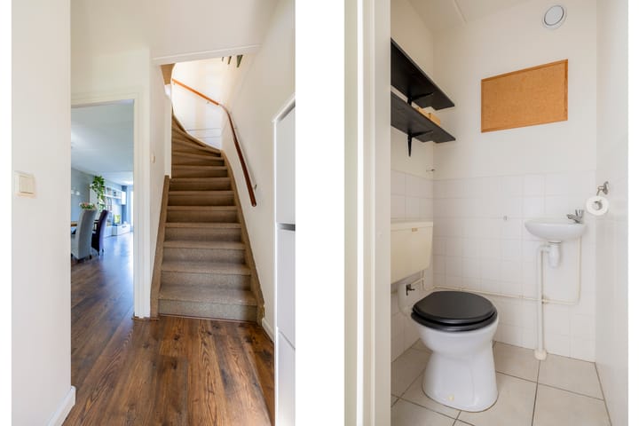 Foto 7 van Galápagos 7