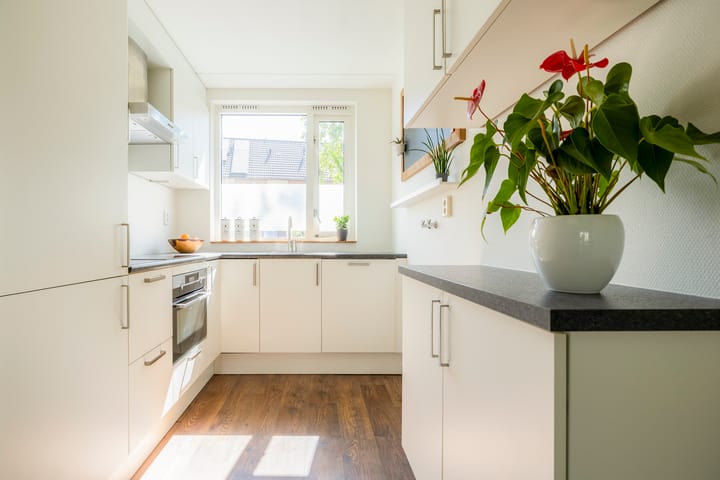 Foto 18 van Galápagos 7