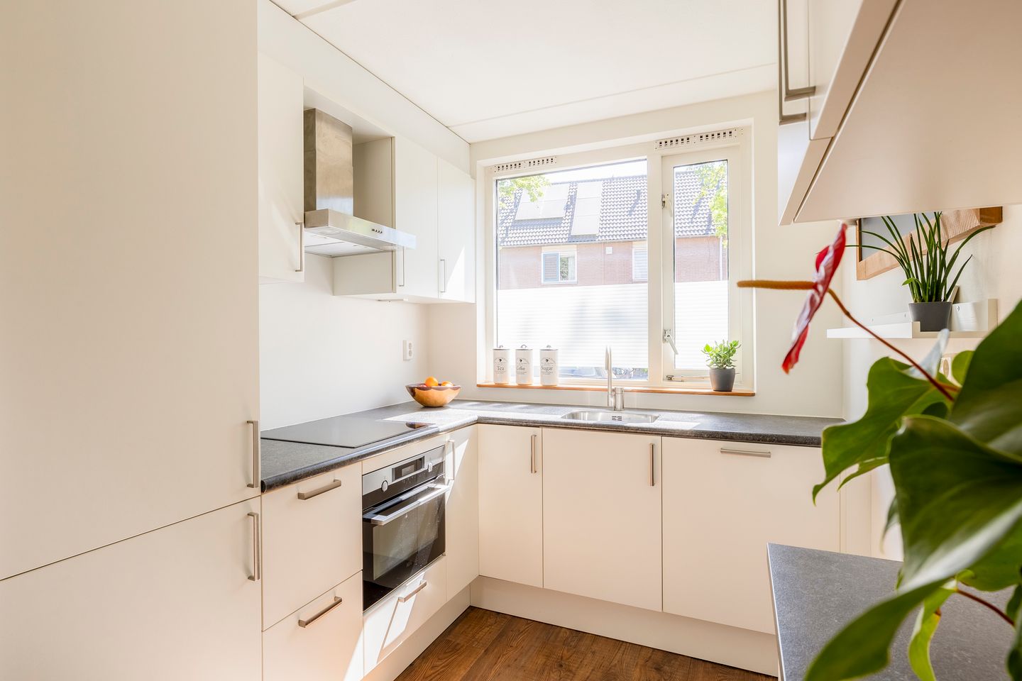 Foto 19 van Galápagos 7