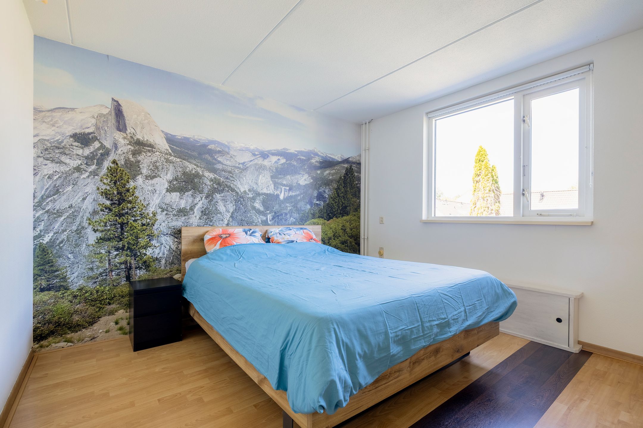 Foto 24 van Galápagos 7