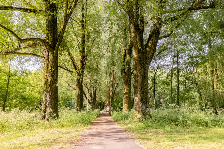 Foto 43 van Galápagos 7