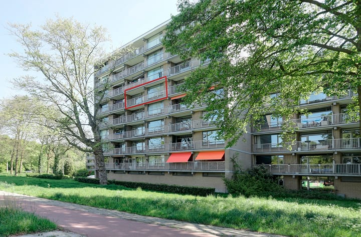 Foto 6 van Malvert 6528