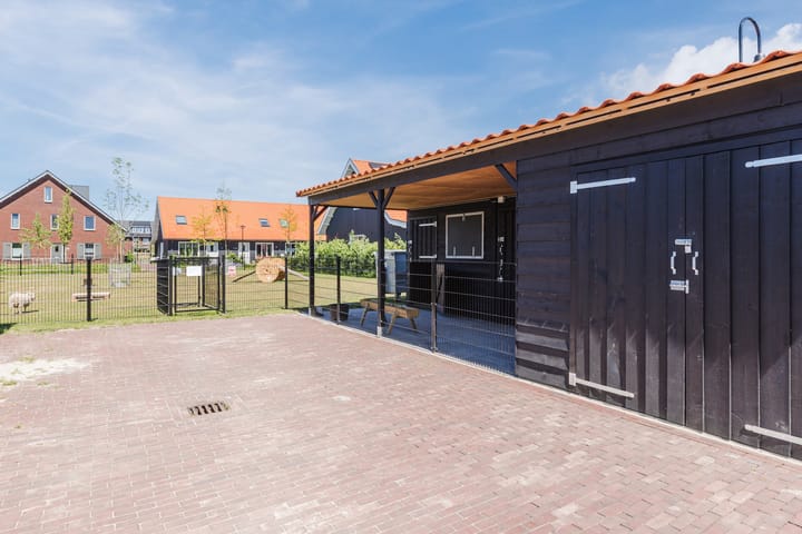 Foto 42 van Het Blazoen 38