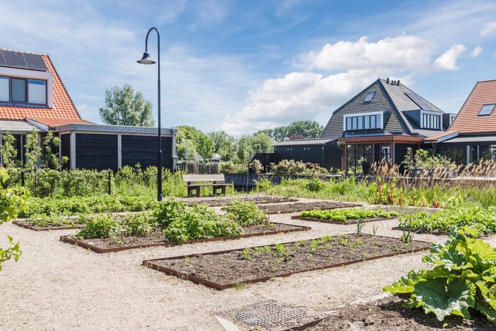 Foto 43 van Het Blazoen 38