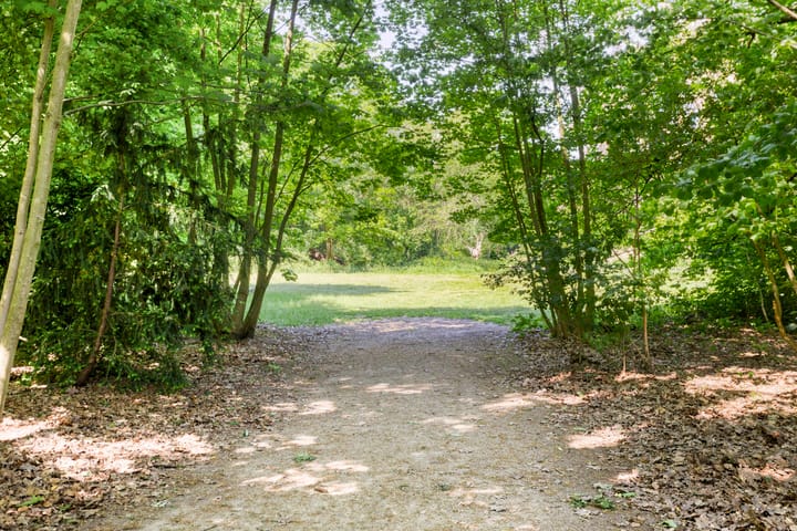 Foto 43 van Tongelresestraat 552