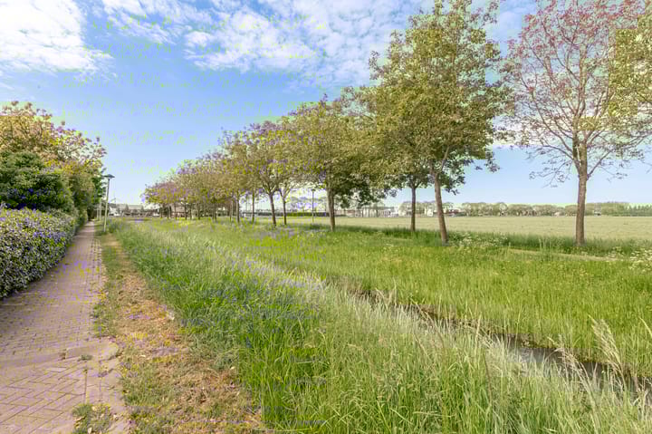 Foto 30 van Watersalamanderhof 3