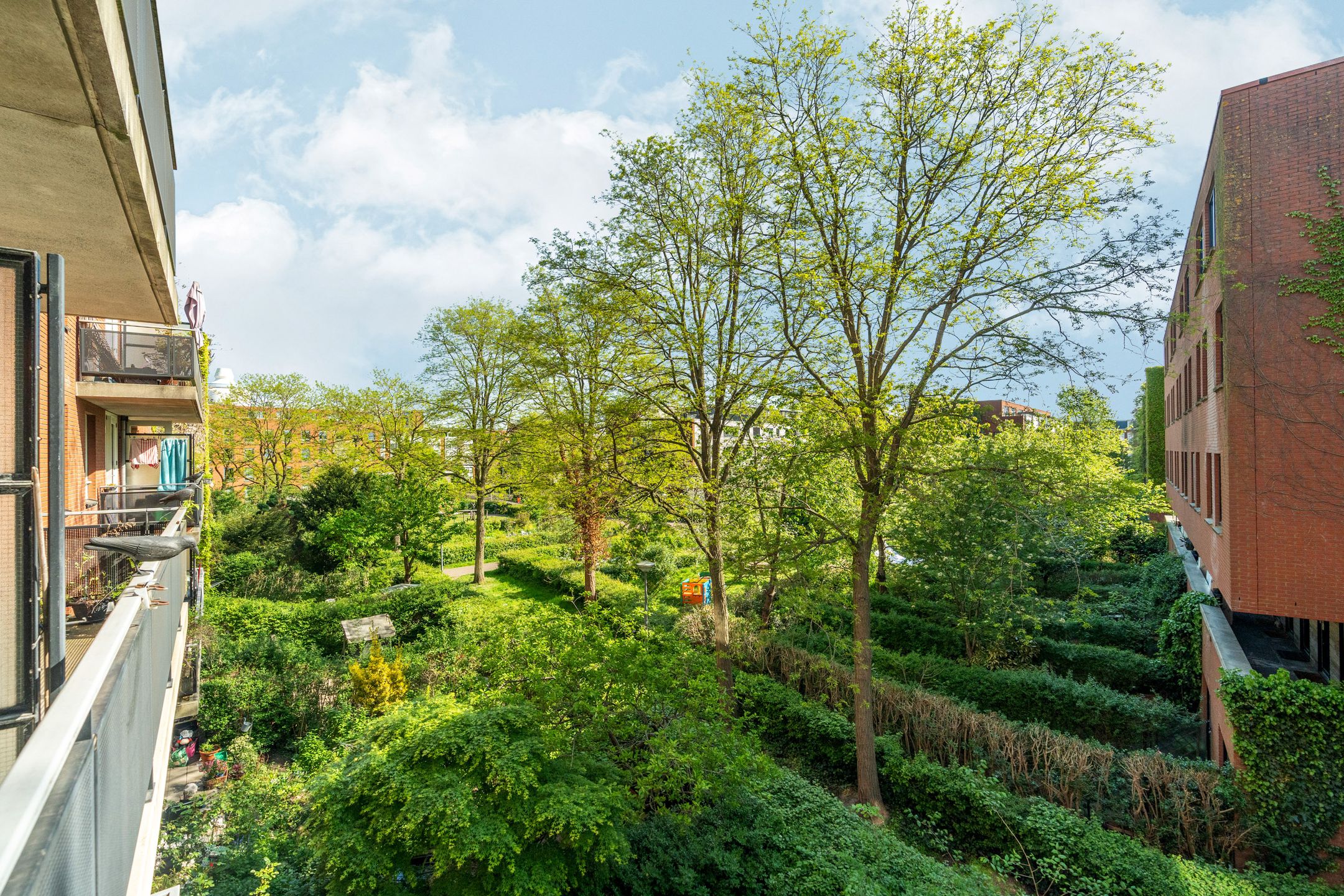 Foto 12 van Waterpoortweg 431