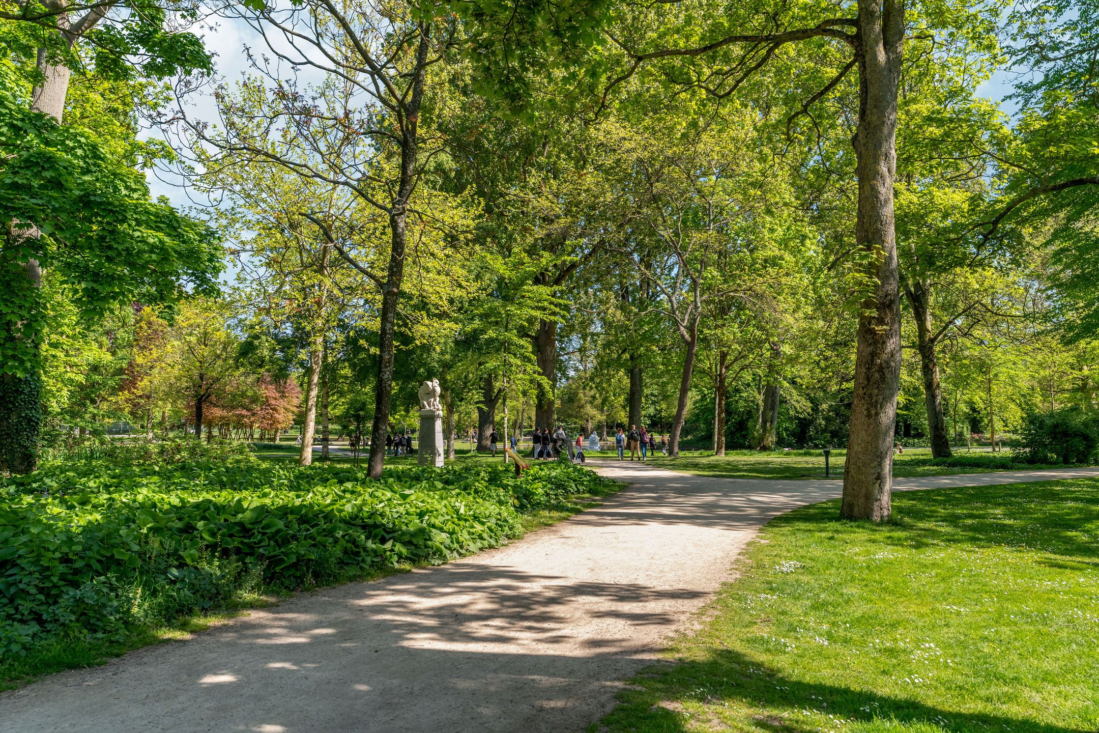 Foto 24 van Waterpoortweg 431