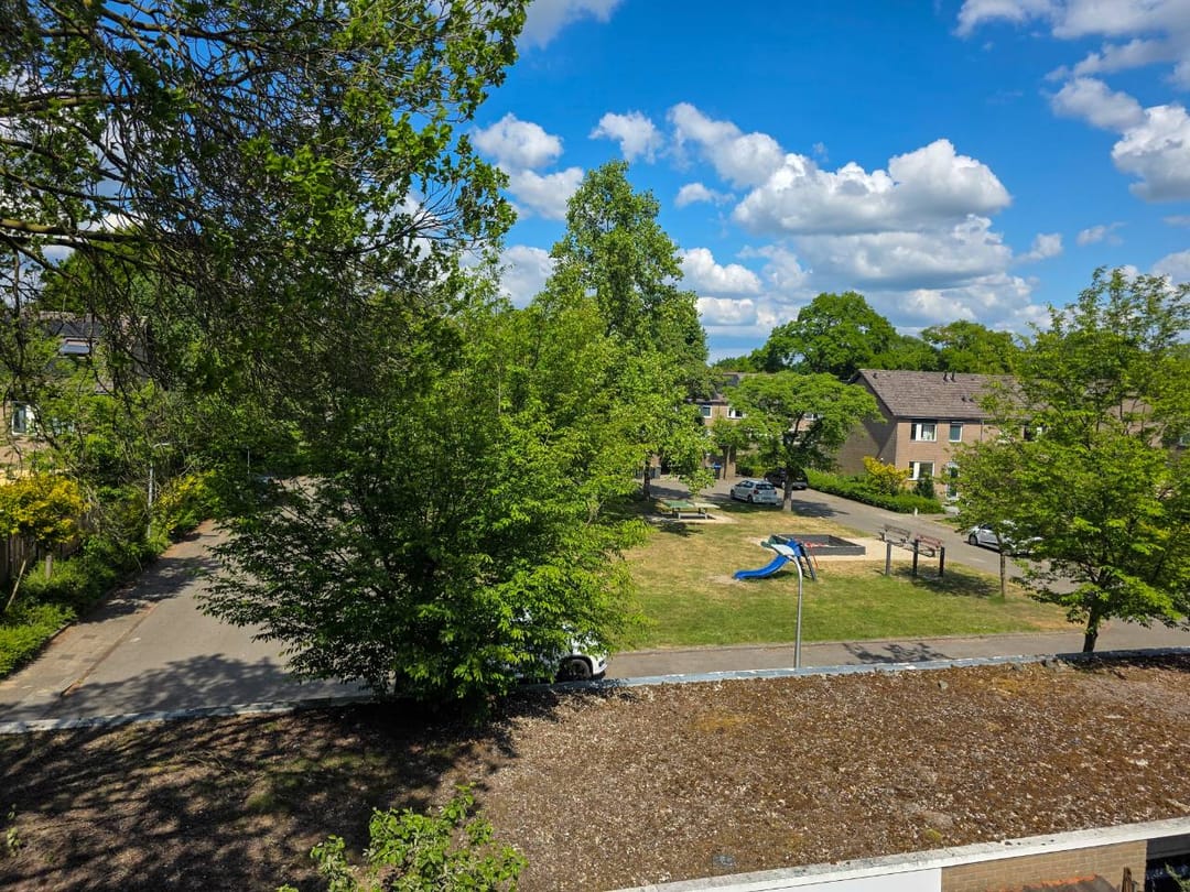 Foto 43 van Ligusterstraat 16