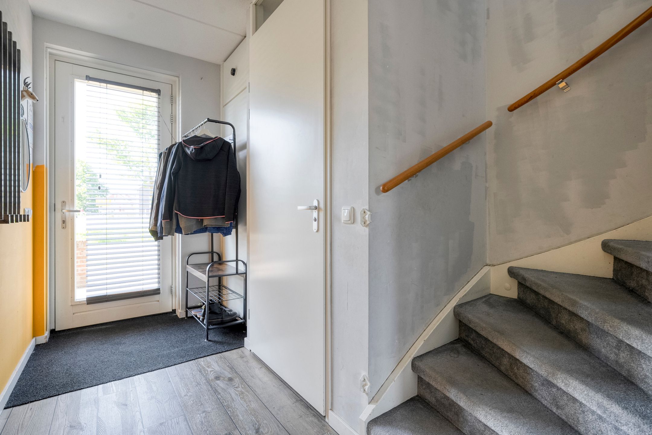 Photo 12 of Omslag 50