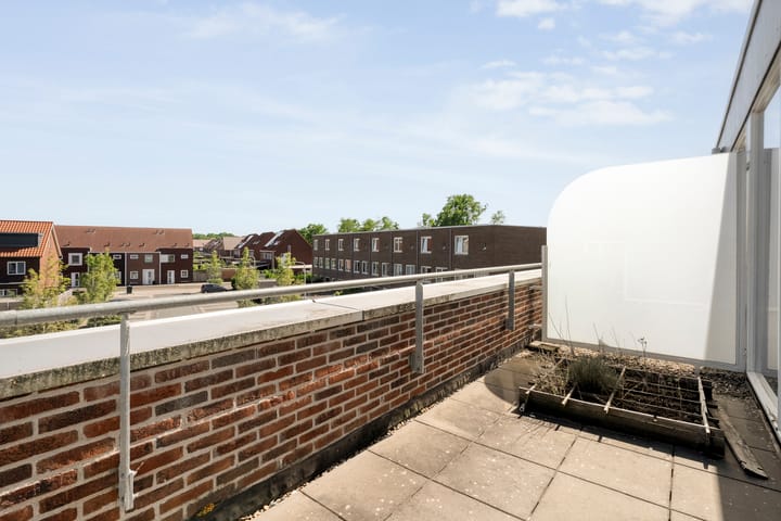 Foto 25 van Omslag 50