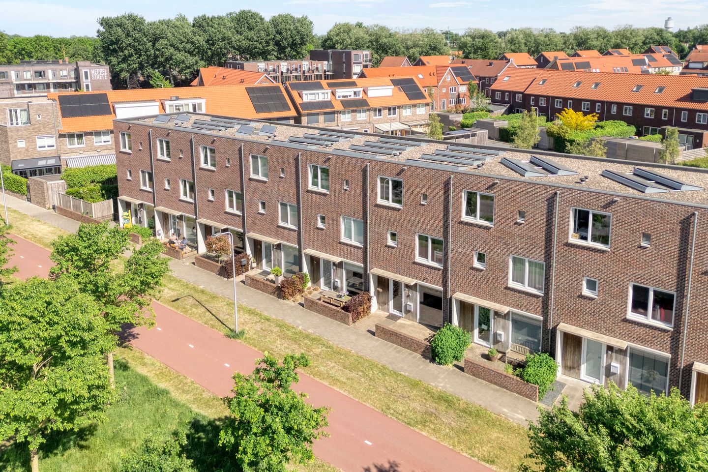 Photo 35 of Omslag 50