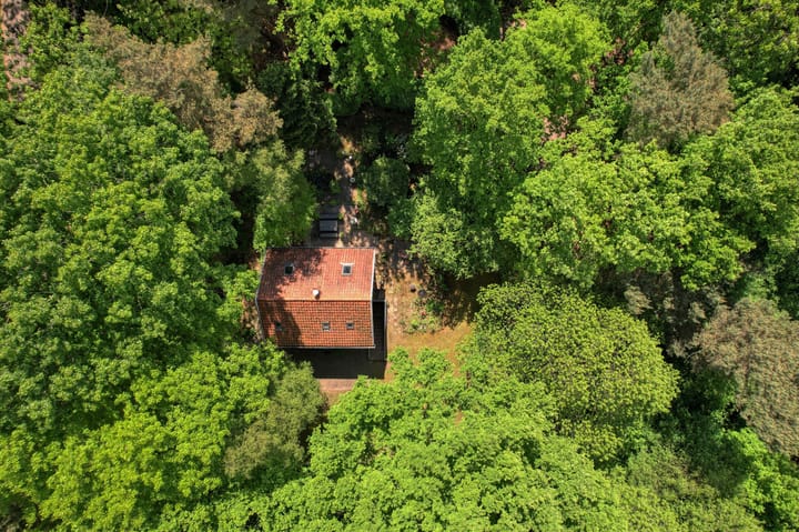 Photo 6 of Vinkenlaan 42-B