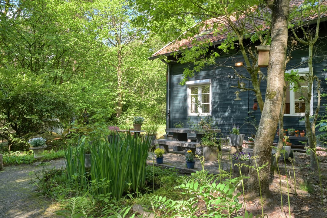 Foto 11 van Vinkenlaan 42-B