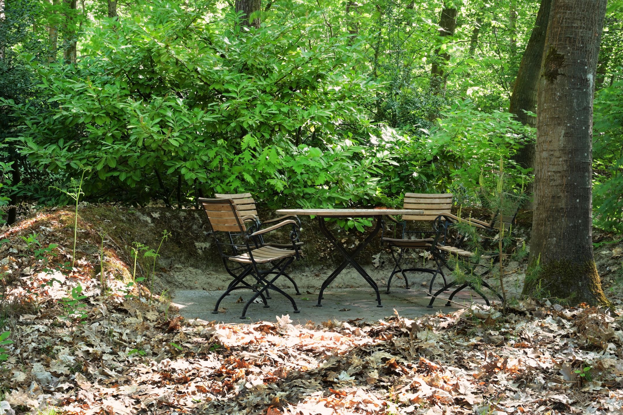 Foto 45 van Vinkenlaan 42-B