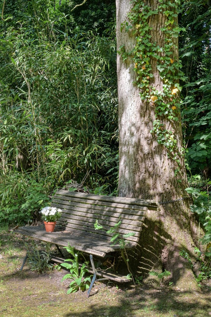 Photo 48 of Vinkenlaan 42-B