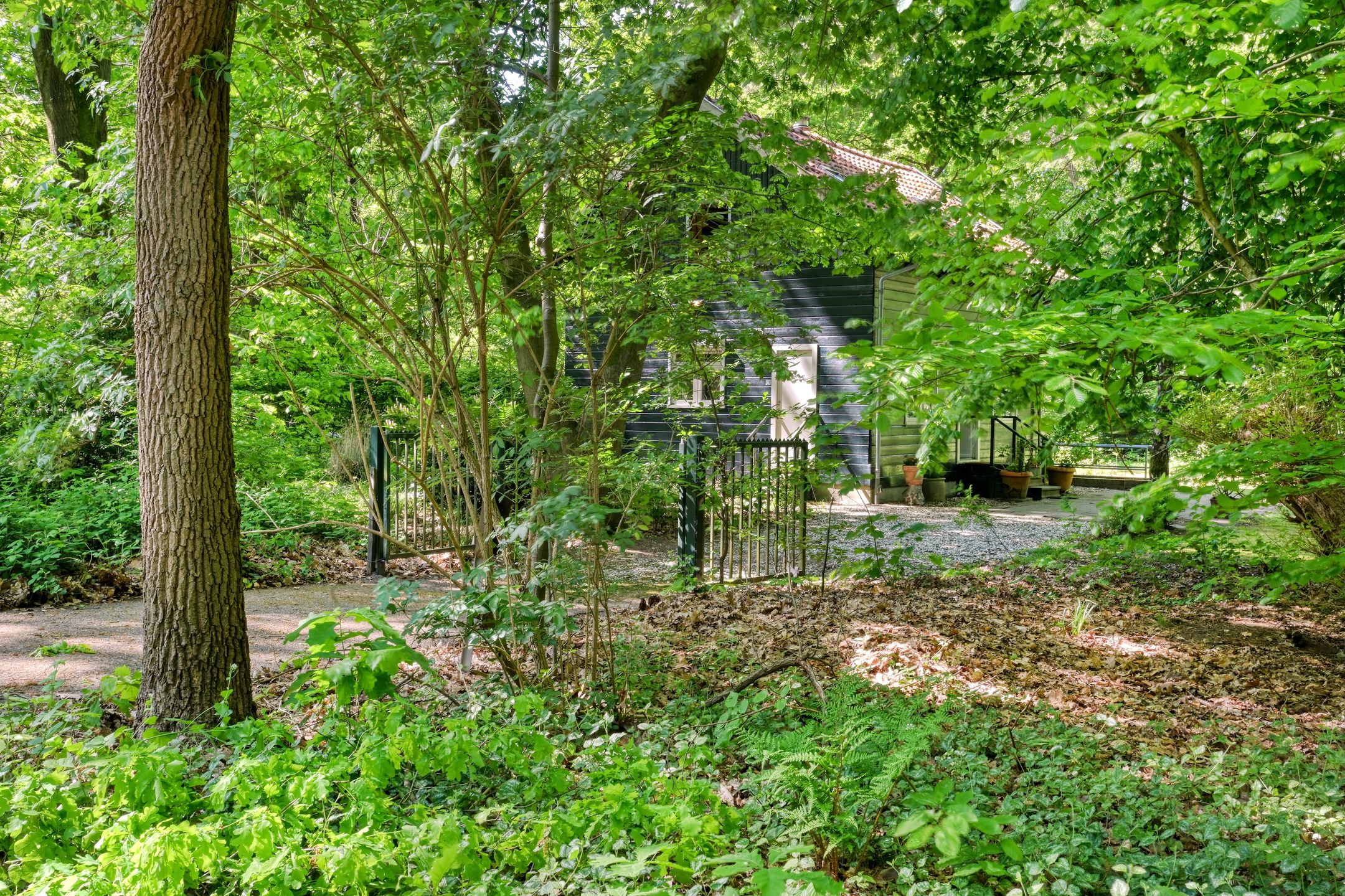 Foto 51 van Vinkenlaan 42-B