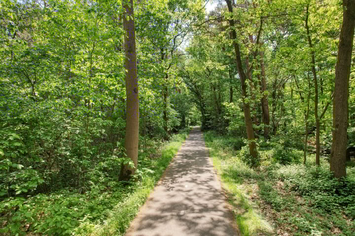 Photo 57 of Vinkenlaan 42-B