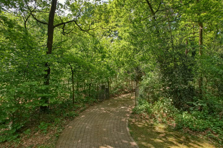 Photo 56 of Vinkenlaan 42-B