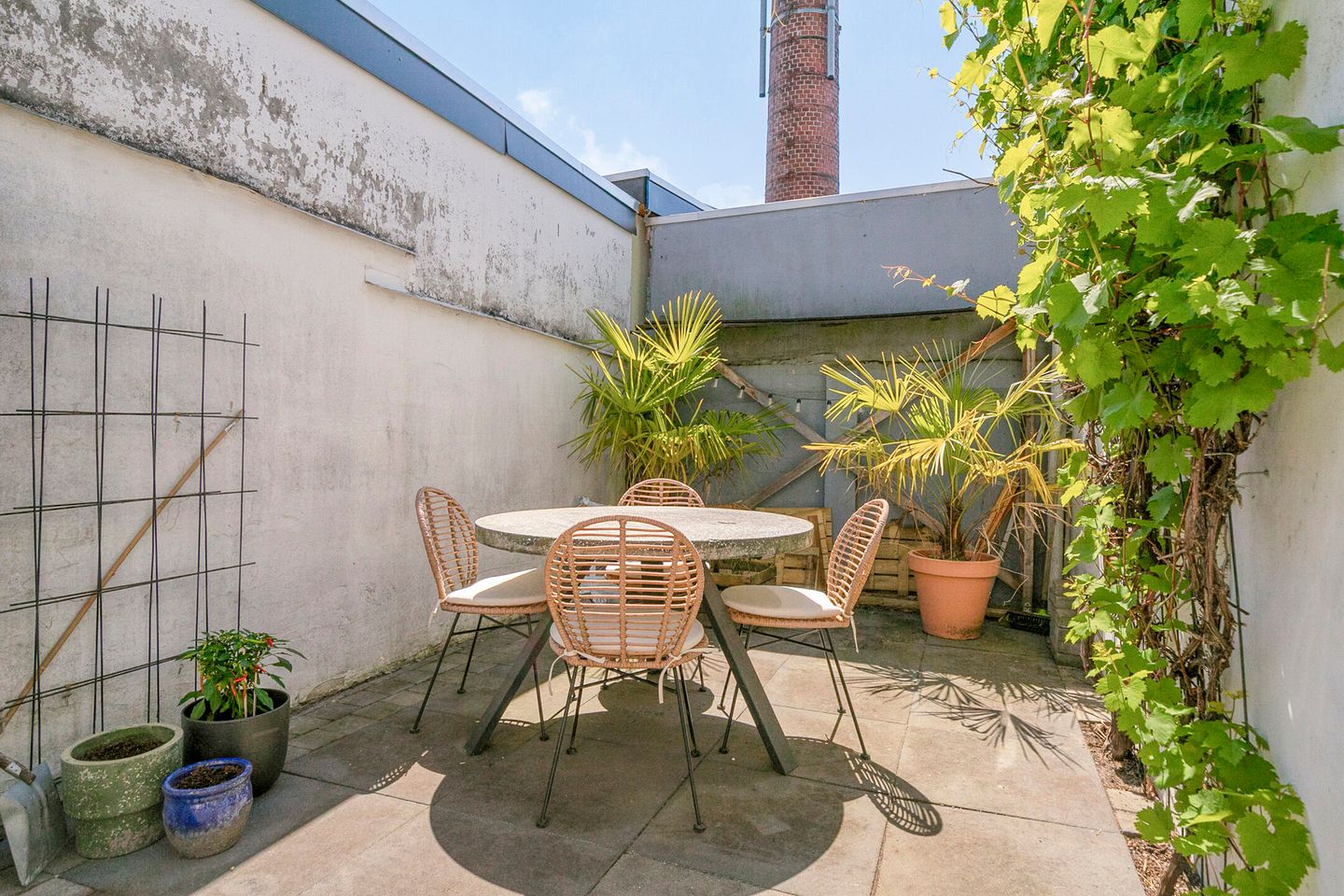 Foto 35 van Ranonkelstraat 48