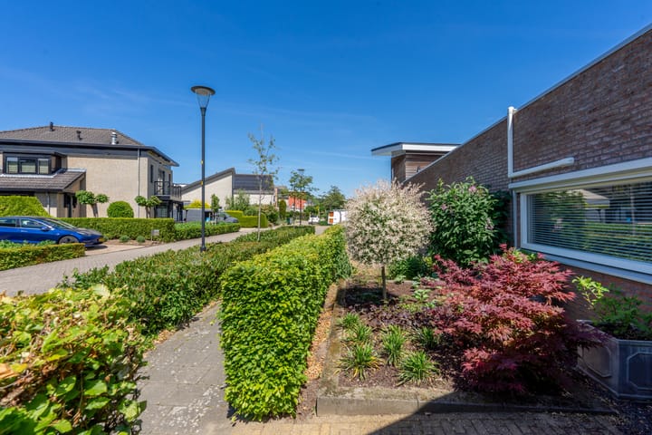 Foto 24 van Diana 19