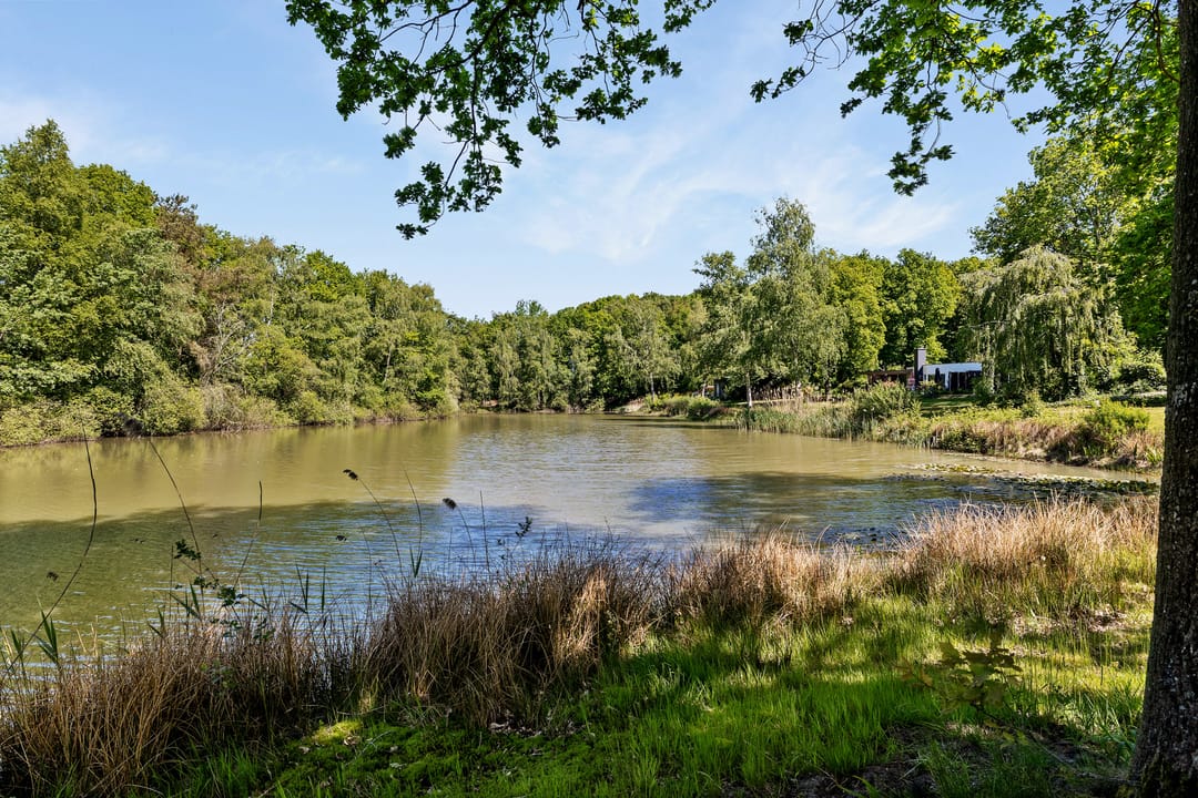 Photo 38 of Ermerzand 122