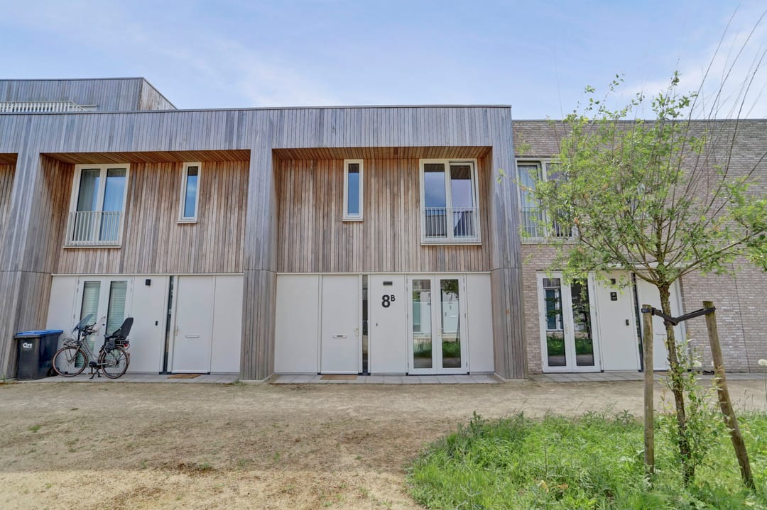 Foto 1 van Grasbloem 8-B