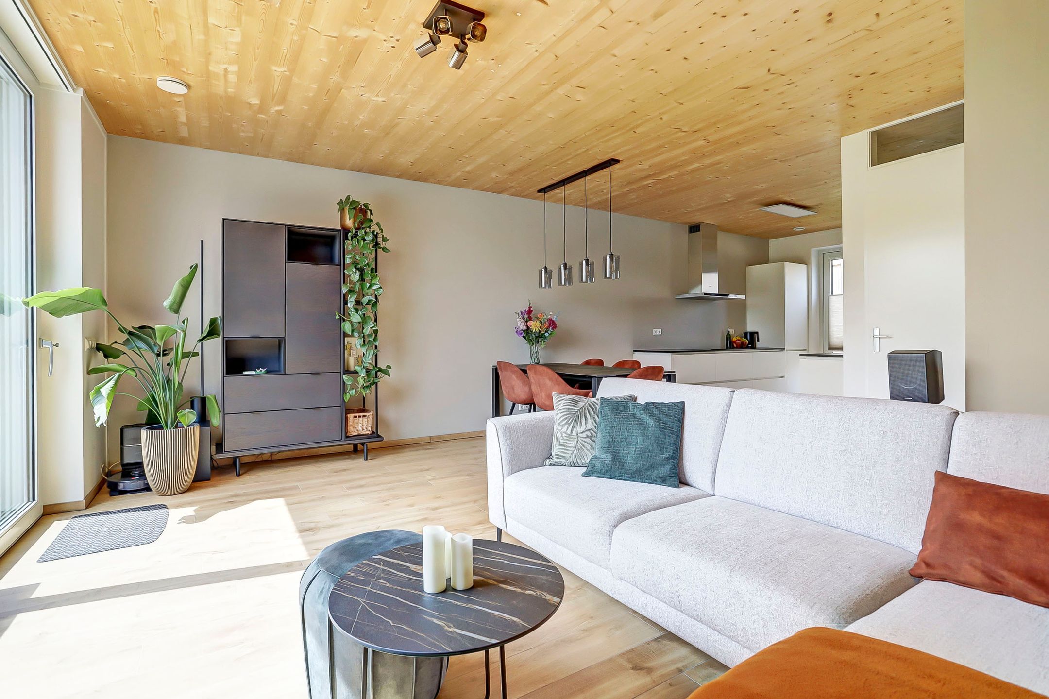 Foto 3 van Grasbloem 8-B