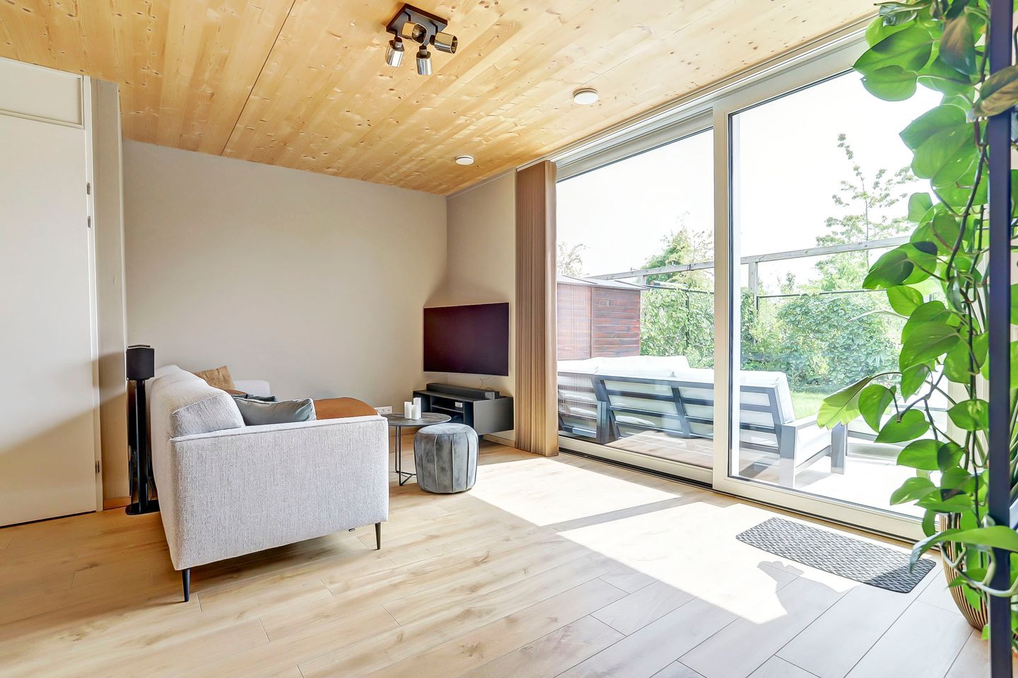 Foto 5 van Grasbloem 8-B