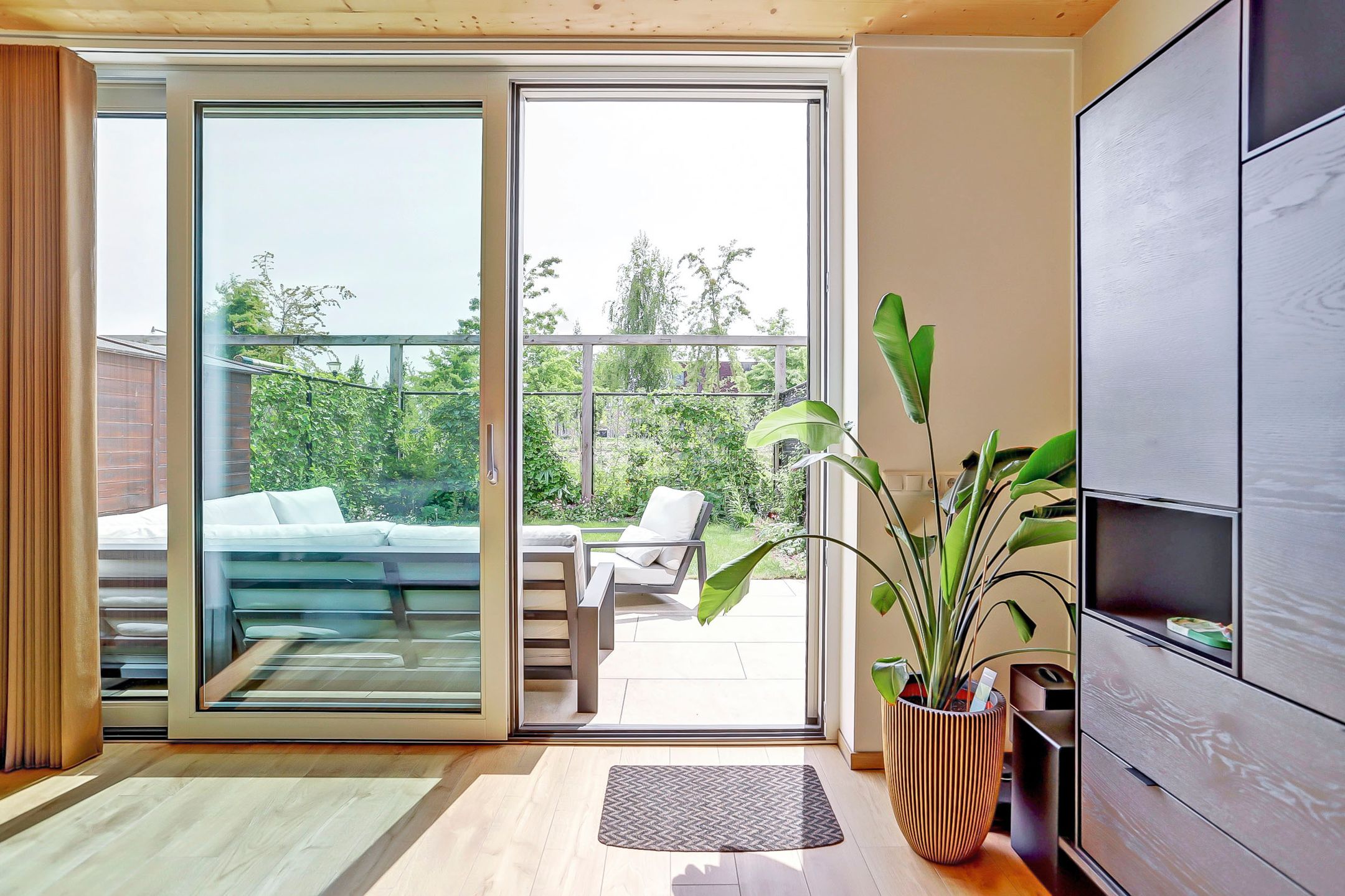 Foto 6 van Grasbloem 8-B