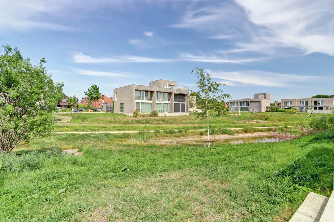 Foto 26 van Grasbloem 8-B