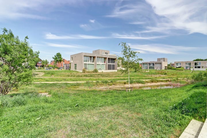 Foto 26 van Grasbloem 8-B