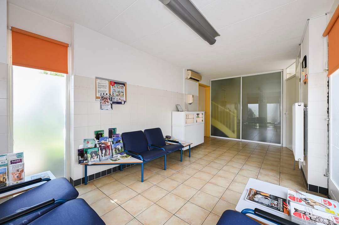 Foto 7 van Brasemdam 4