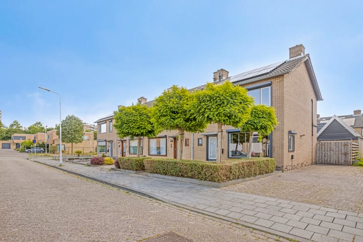 Foto 1 van Pieter de Hooghstraat 8