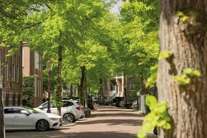 Foto 21 van Kings/Lane Topfloors