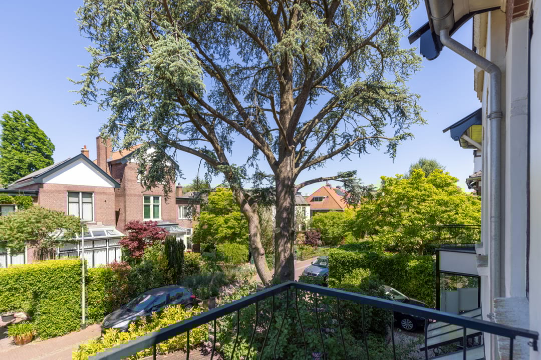 Foto 37 van Nieuwe Englaan 17