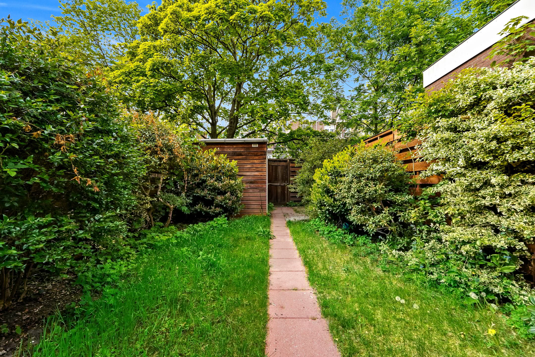 Photo 3 of Paulus Buijsstraat 49-E