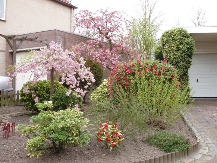 Foto 31 van Hogestuift 5