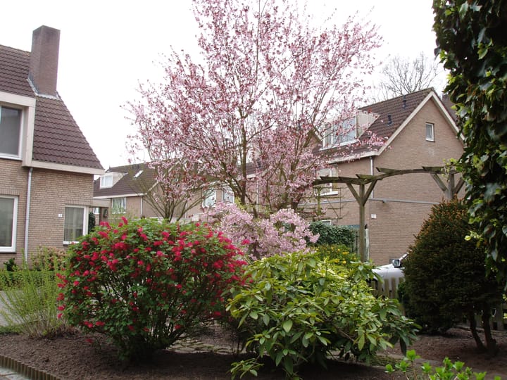 Foto 32 van Hogestuift 5