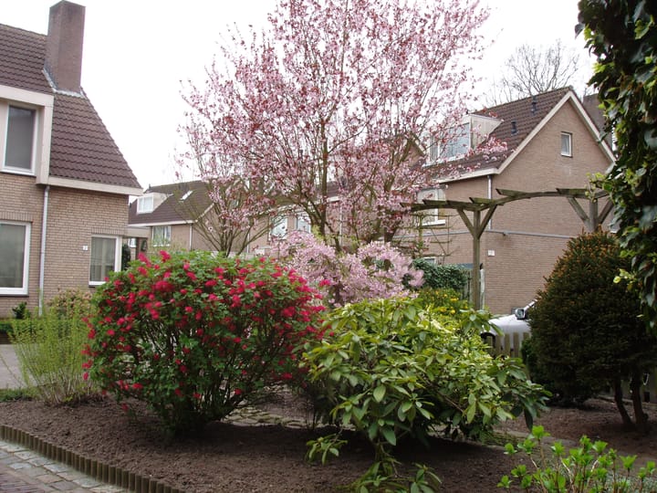 Foto 33 van Hogestuift 5