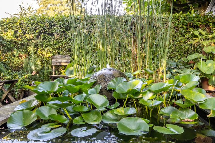 Foto 53 van Lopikerweg 34