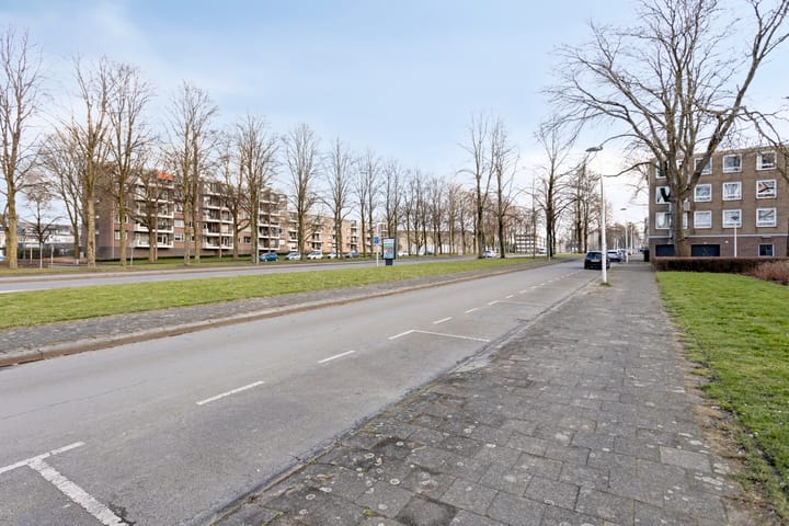 Photo 29 of Via Regia 141-C