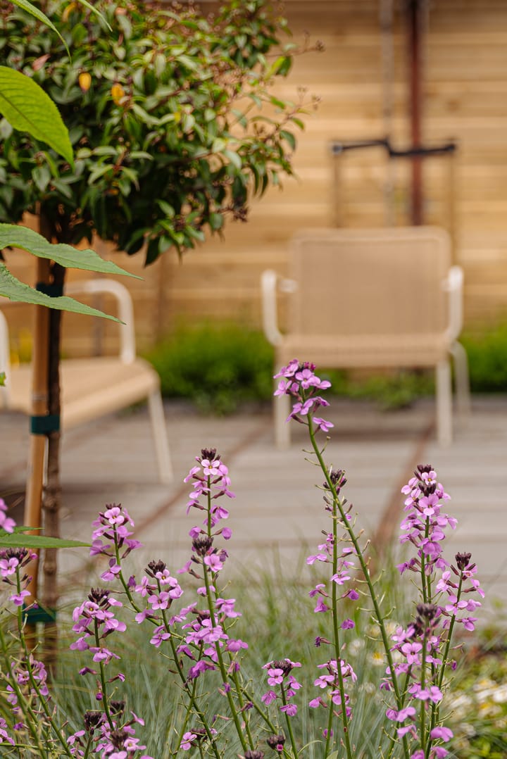 Foto 20 van Willemsparkweg 12-O